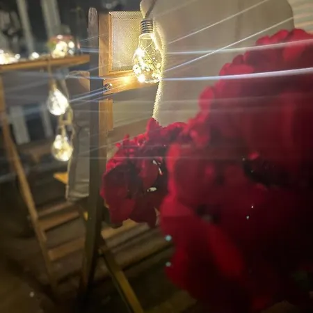 Zeus Apartamento Zadar